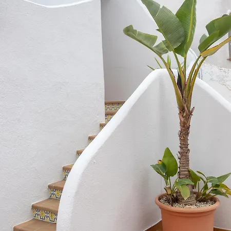 Apartment Rincon Mediterraneo